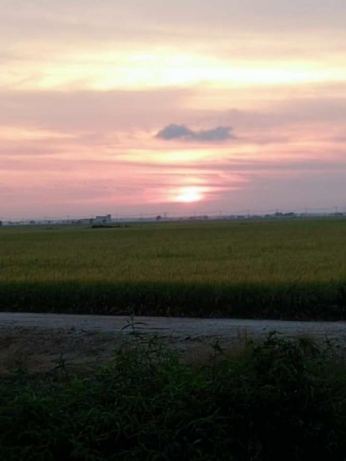 Windmill Sunrise Paddyview Homestay Sekinchan Exterior foto